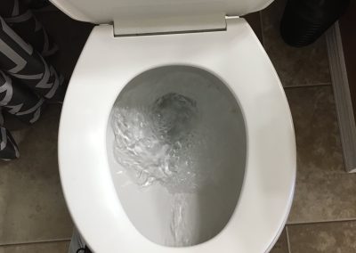 toilet inspection